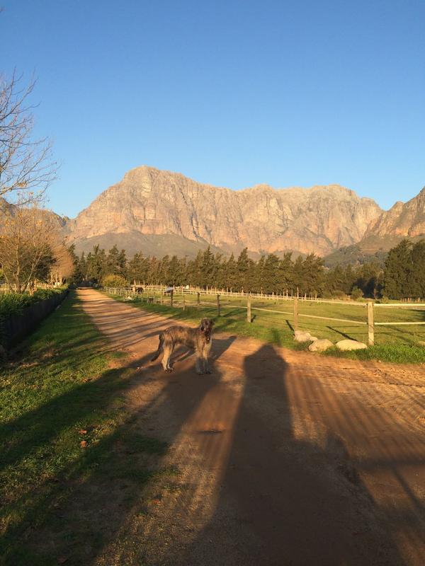 12 Bedroom Property for Sale in Paarl Western Cape